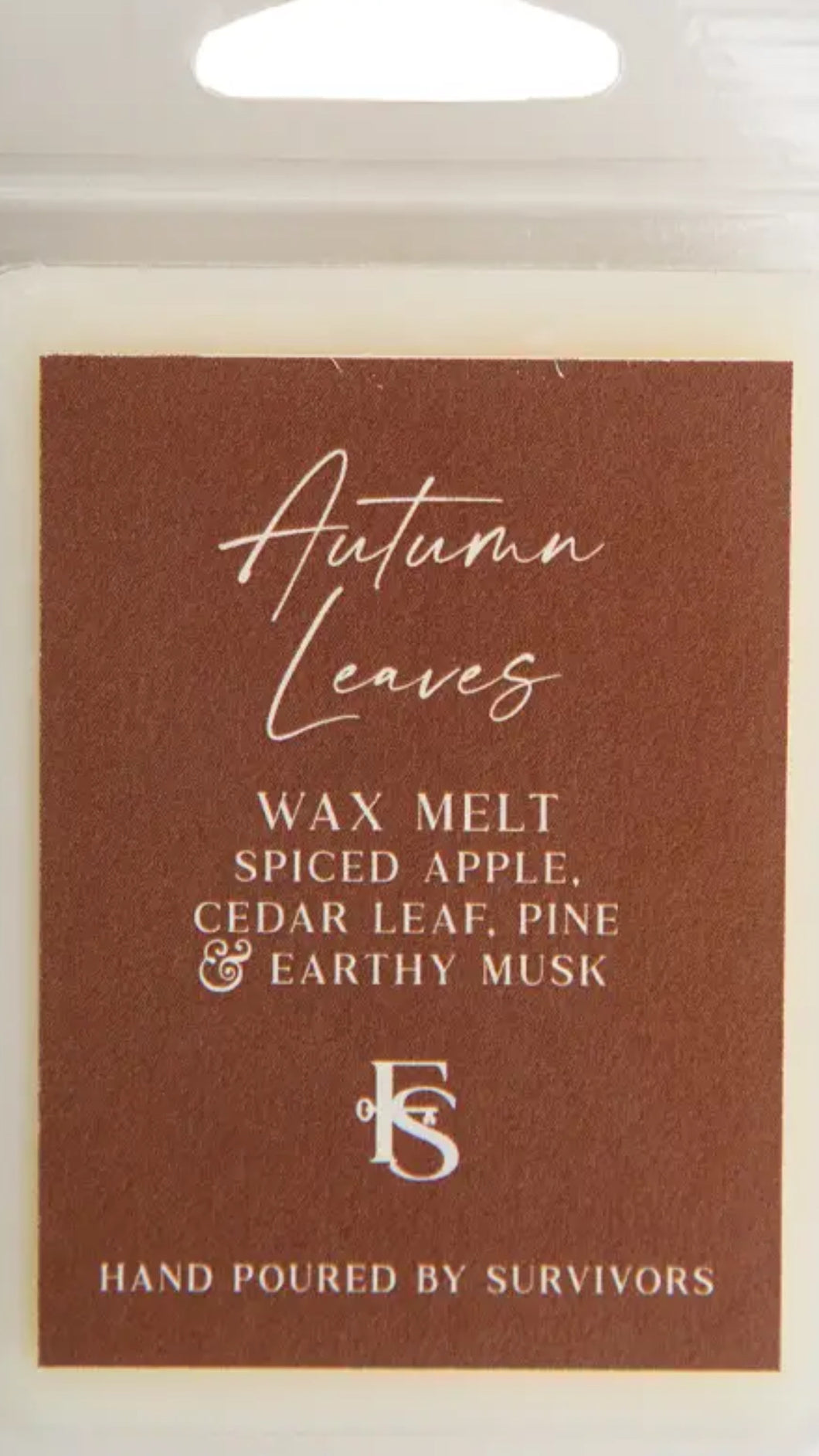 Cosmic Autumn Leaves Wax Melts